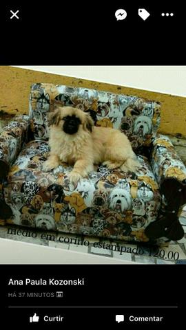 Sofa para cachorro