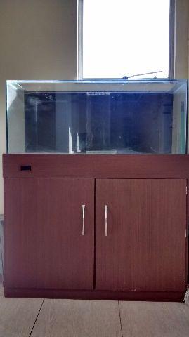 Aquário 1,20x45x50