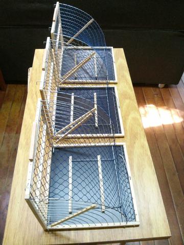 Gaiola Boca de Sapo!