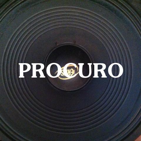 Falantes de 12 Pol ()