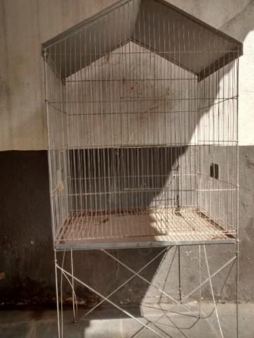 Gaiolão para pássaros