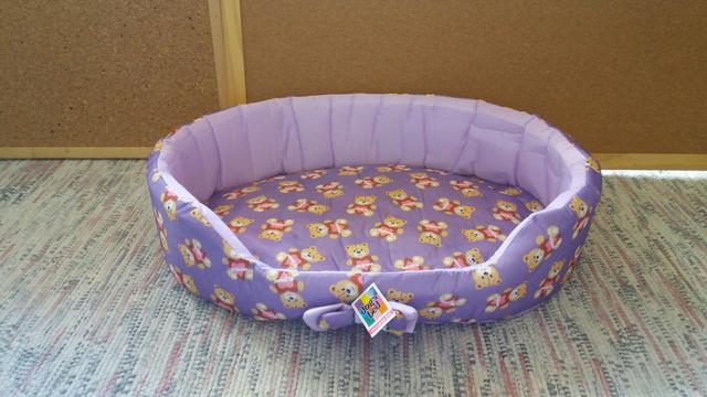 Linda caminha para Pet