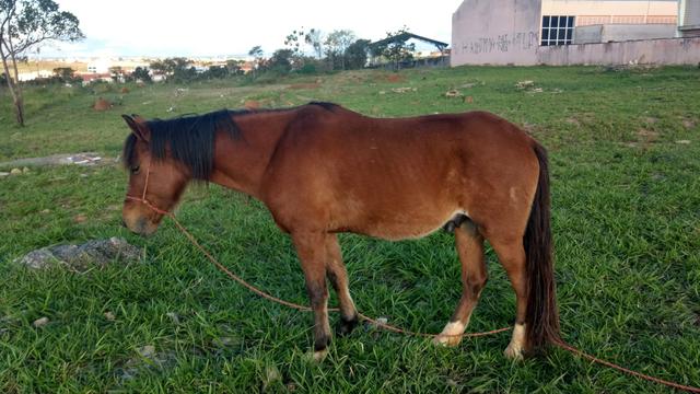 Rolo em outro leia o anuncio