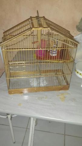 V/T gaiola de 2 tanpa pra bigode.tenho Um vinvero