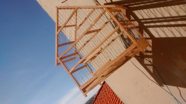 Gaiola linda baratinho