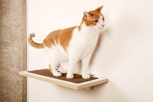 Prateleiras para Gatos