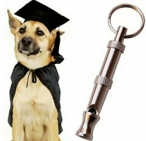 Apito Ultrasonico Para Adestramento De Cães