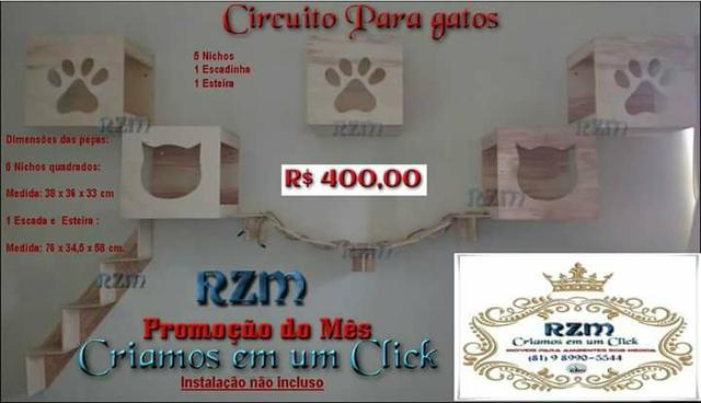 Para gatos diversão garantida