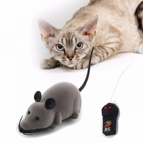 Brinquedo Interativo Gato Rato Controle Remoto Sem Fio
