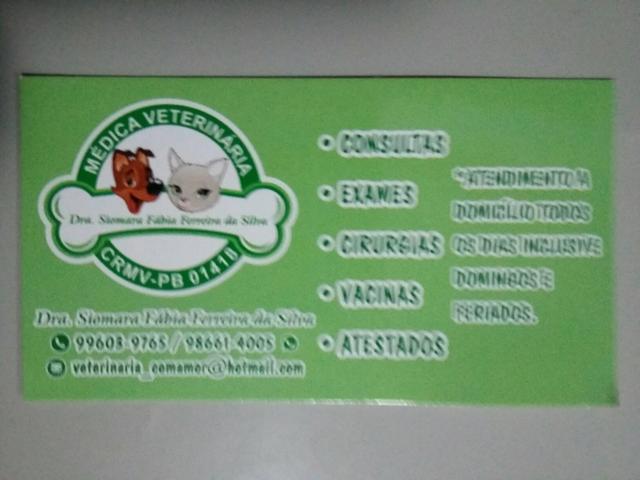 Médica veterinária