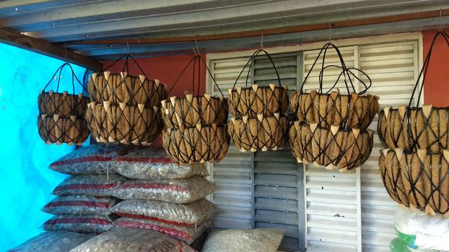 Cachepôs de fibra de coco