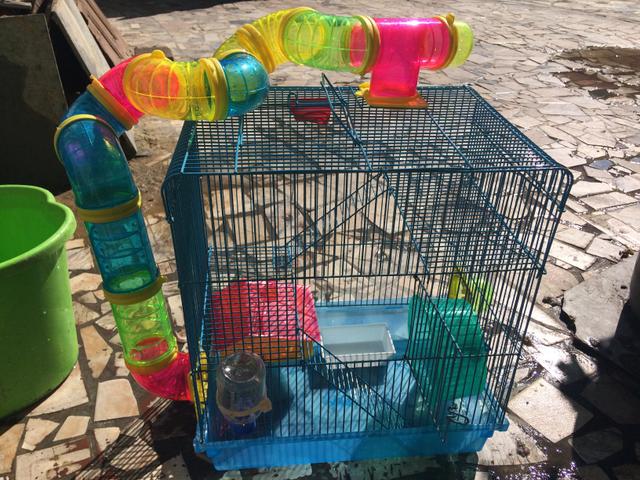 Casa Hamster R$ 150