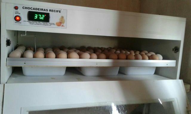 Chocadeira 150 ovos