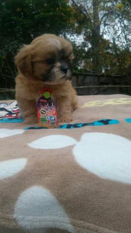 Hiper ZIPER Zum Promoção Ainda existe???