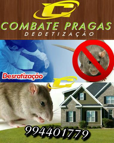 Problemas com Ratos ?