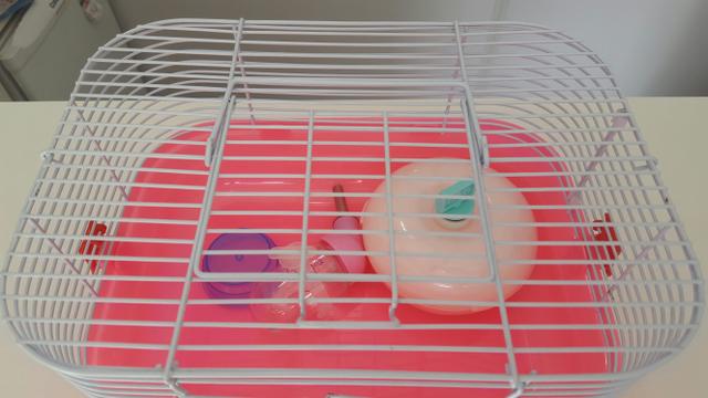 Gaiola Hamster Pop Star Completa