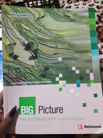 Livro Big Picture (Para cursos da Cultura Inglesa)