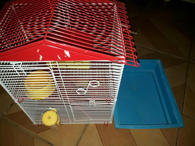 Casinha oara hamster