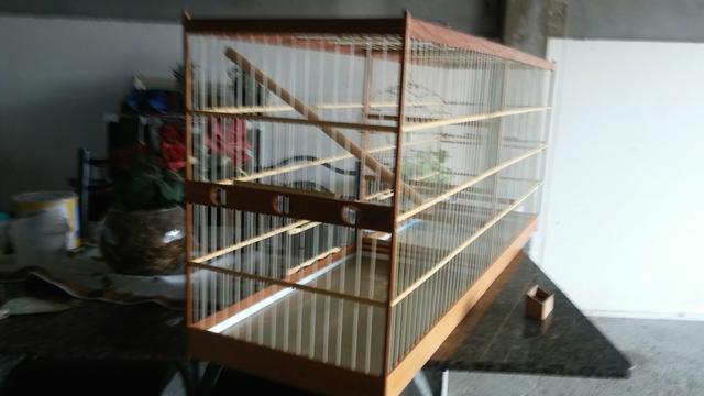 Gaiolao trinca grande