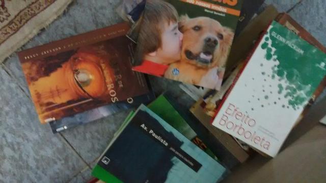 Lote 12 livros