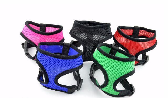Peitoral Coleira para Cão