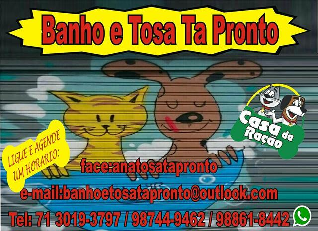 Banho e tosa ta Prontooooooooo