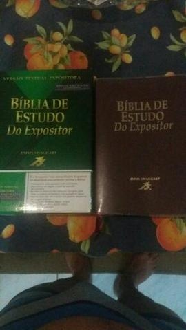 Bíblia de estudo do expositor