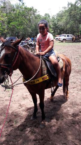 Ponei.cavalo.petisco