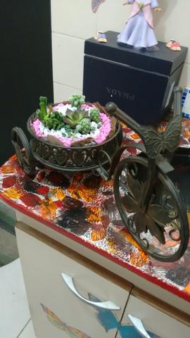 Suculentas. e Cactus no carrinho