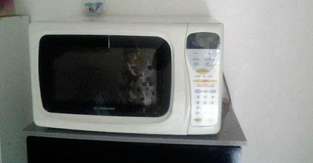 Vendo microondas semi novo