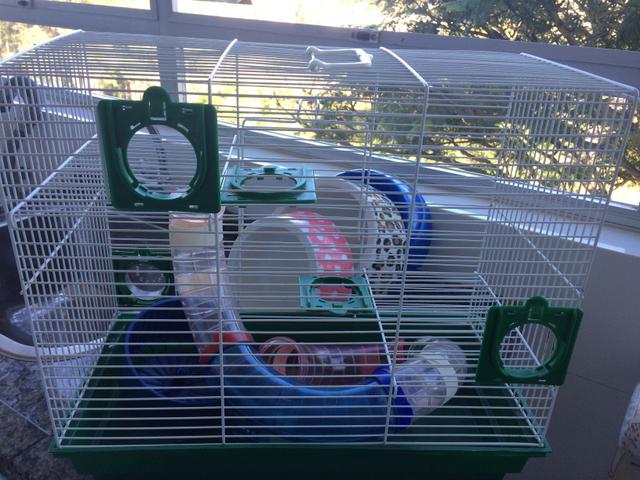 Gaiola grande para hamster