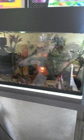 Vendo aquário
