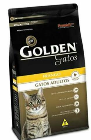 Golden Gatos Adulto