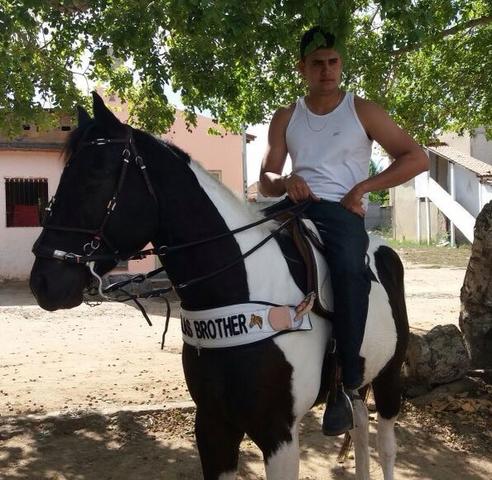 Potro Garanhao paint horse