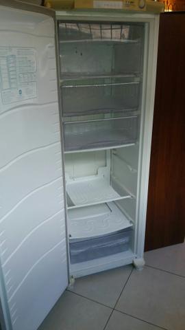 Freezer vertical consul