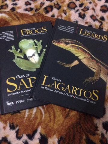 Livros sobre sapos e lagartos