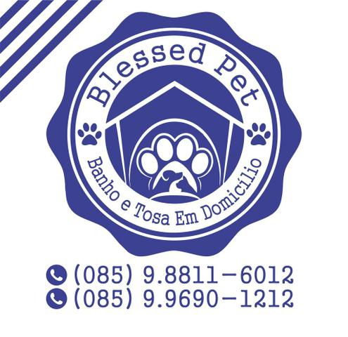 Banho e tosa domicílio