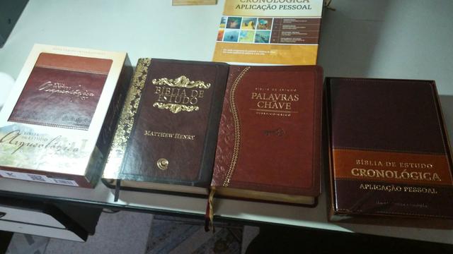 Biblias de estudo