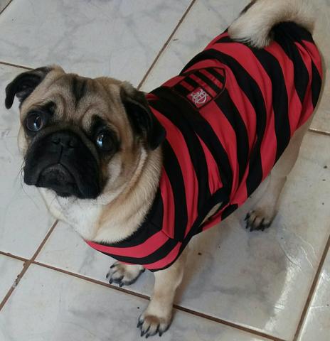 Camisa do Flamengo para Cachorro
