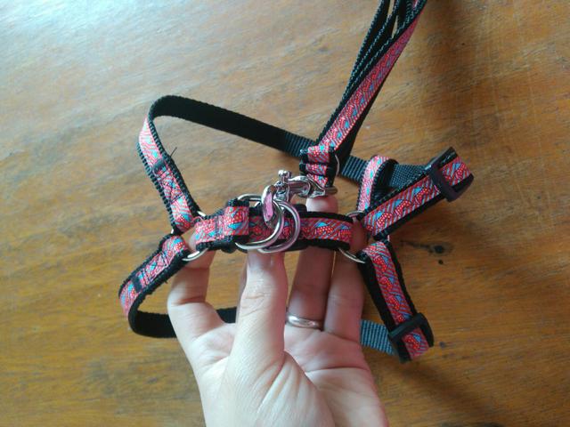 Guia/Coleira para cães