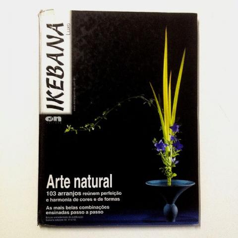 Ikebana Luxo arte natural - 103 arranjos