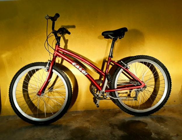 Linda Caloi 100 Feminina Excelente