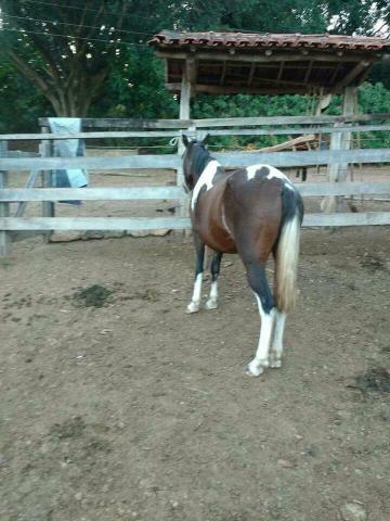 T.roco em xr de trilha volto a diferença