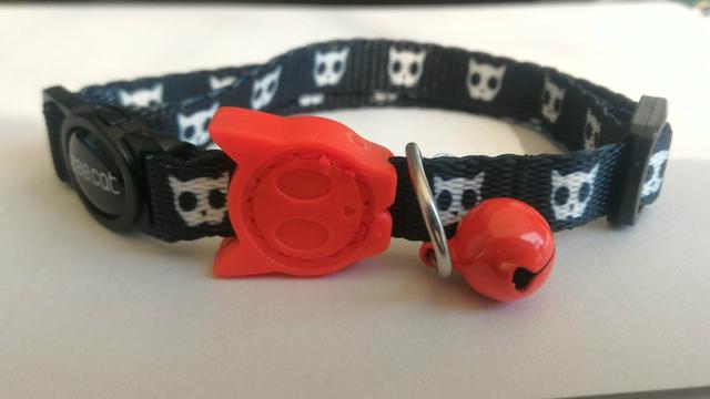 Coleira para gatos ZeeCat