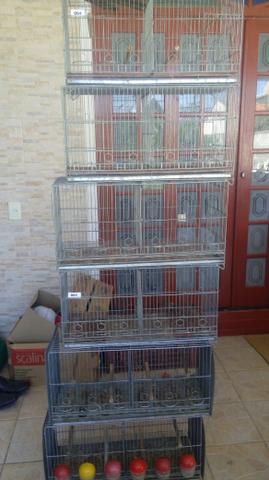 Gaiolas pra criação de canários