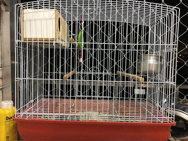 Vendo 2 gaiolas para periquito