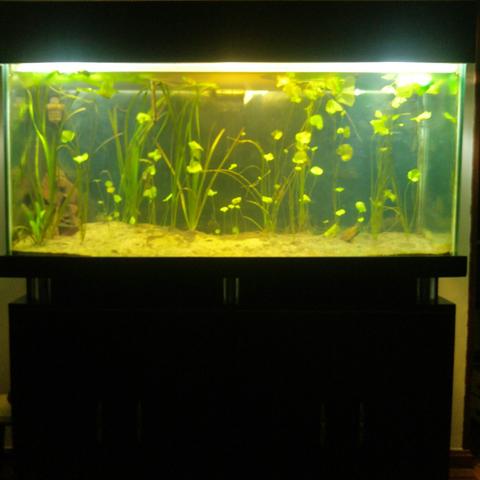 Lg G6. completo. 300L.