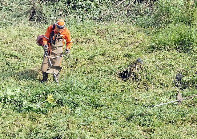 Terreno limpo!!! a partir de R$