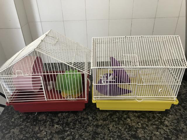 2 gaiolas de hamster