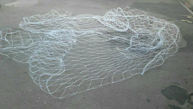 Rede Esportiva Pai e Filho